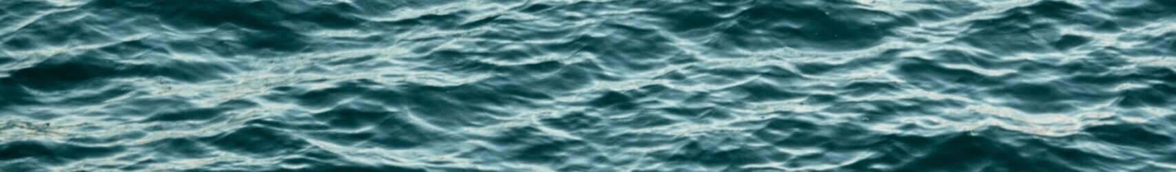 gonzalo-facello-4BKpnV9SkbA-unsplash